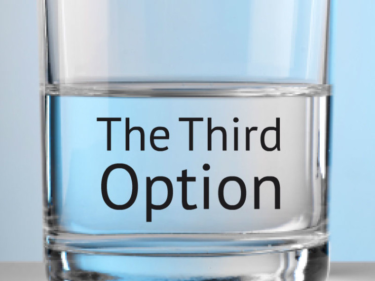 TheThirdOption